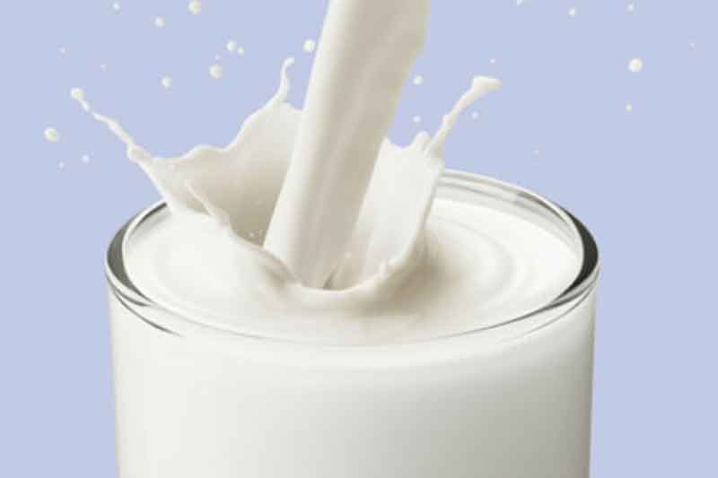 Milk Fat 26% – Protein 10%