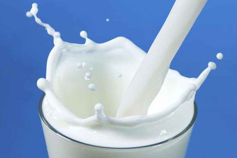 Milk Fat 26% – Protein 26%