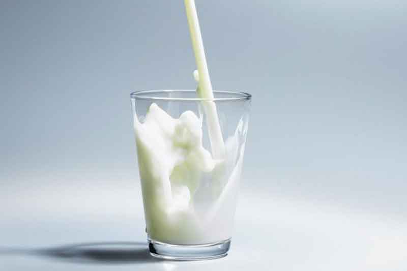 Milk Fat 28% – Protein 28%
