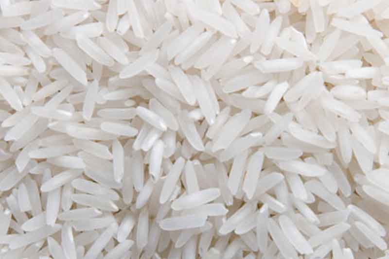 Argentina Rice
